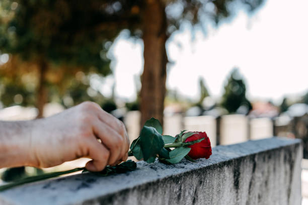 SofiaDate ReviewSofiaDate Review: My Impressions After Three Months of Use SofiaDate ReviewSofiaDate Review: My Impressions After Three Months of Use